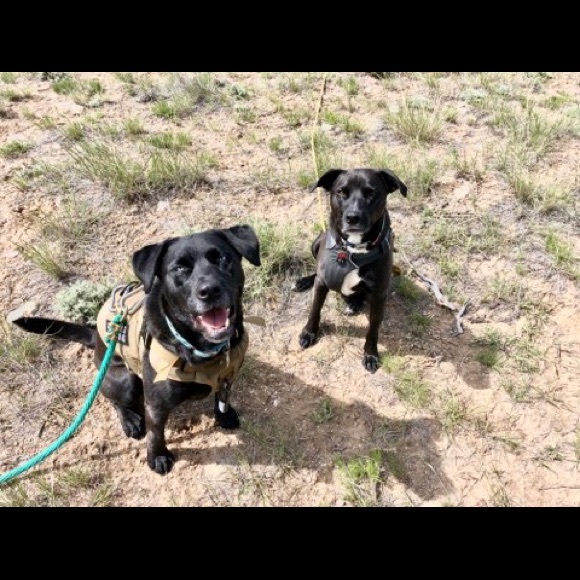 Meet your Posher, Gena - Picture 4 of 7